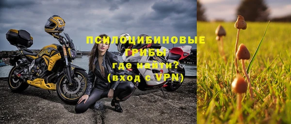 ALPHA PVP Иннополис