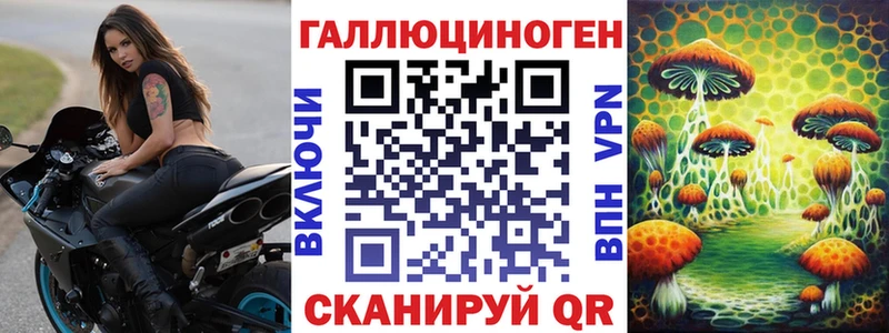 Купить где  Губаха  Галлюциногенные грибы прущие грибы 