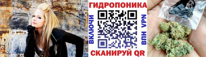 Купить закладки  Губаха  Конопля White Widow 
